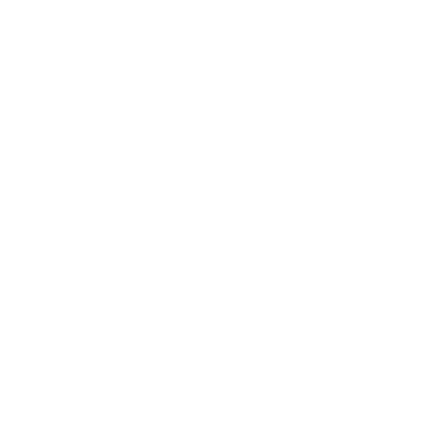 Chief AI Officer